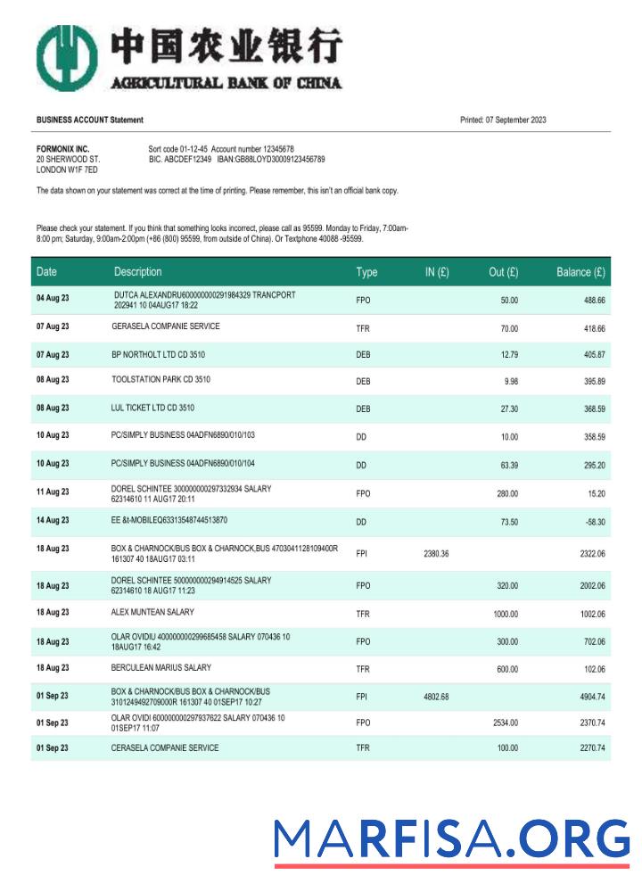 Printable Agricultural bank of China business account statement Word and PDF template